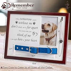 Giftvenus dog memorial picture frame  13 x 9 6 with ash necklace dog loss sympathy gift needle and funnel hook screw and hanging line pet loss gifts frametomorrow   cucciolini doodles