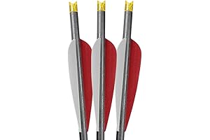 20 Inch Barnett Headhunter Crossbow Bolts with Field Tips