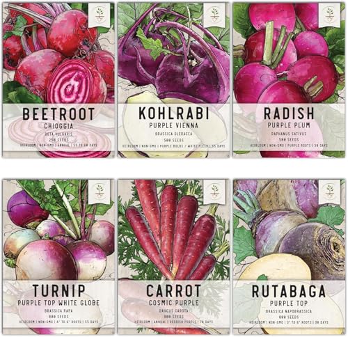 Seed Needs Root Vegetable Seeds Variety Pack of 6 Beet Turnip Radish & More