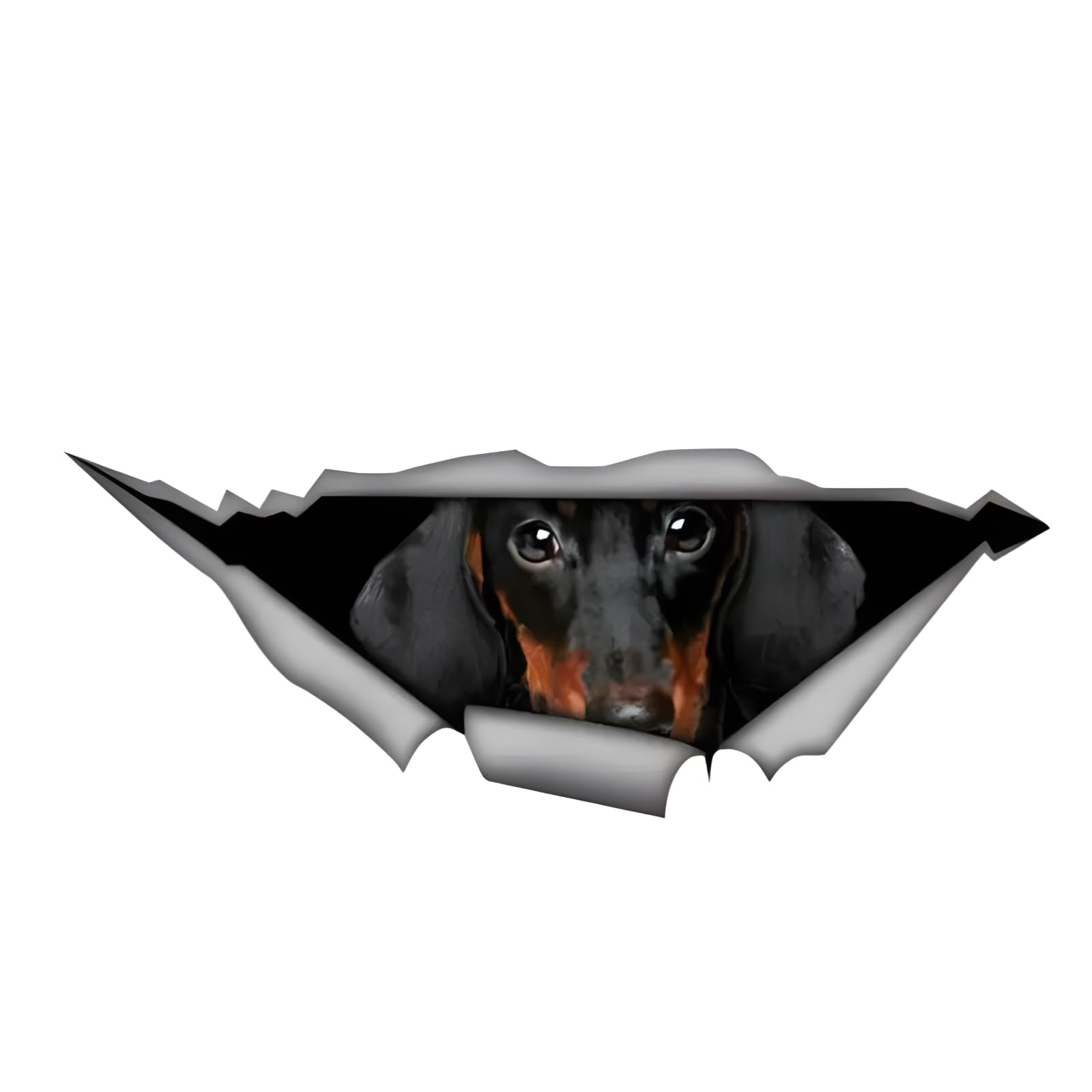 Französische Bulldogge Aufkleber, 3D Zerrissener Effekt, Was