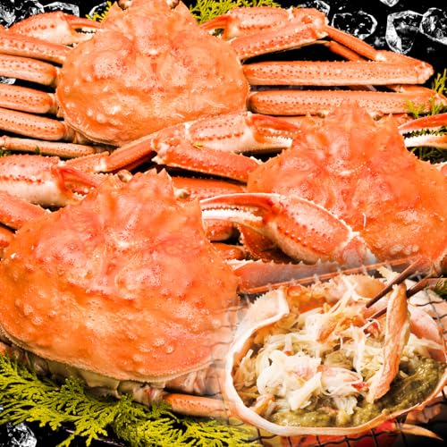 快適生活 本ズワイ ずわい 姿 本体 蟹 丸ごと カニ姿 ズワイガニ味噌 蟹味噌 蟹みそ ボイルズワイ ずわい蟹 カニ鍋 蟹鍋 かに鍋 鍋 しゃぶしゃぶ 蟹しゃぶ 蟹すき 海鮮 冷凍 解凍 年末年始 正月 お祝い クリスマス パーティー カニパ かにパ 蟹
