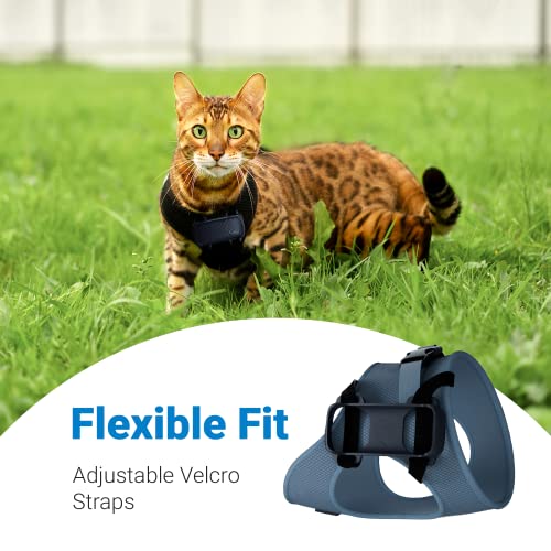 Image of Tractive GPS Cat 4 Tracker Harness Attachment, for Cat Walks with Peace of Mind, Velcro Straps, Black