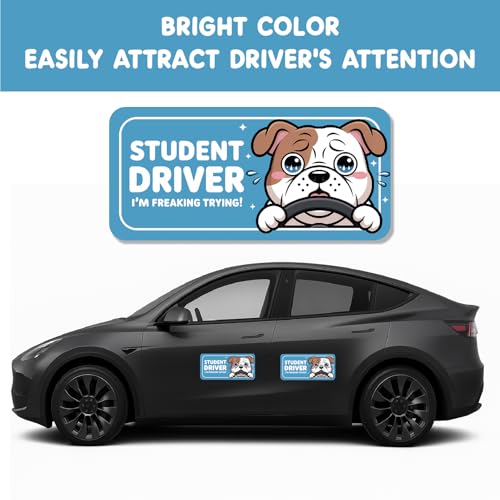 Image of 7.6x3.6 Student Driver Magnet - Adorable Crying Dog Design: Please Be Patient - Funny and Cute Car Decor for New, Teen, and Learner Drivers (Bulldog Student Driver Magnet)