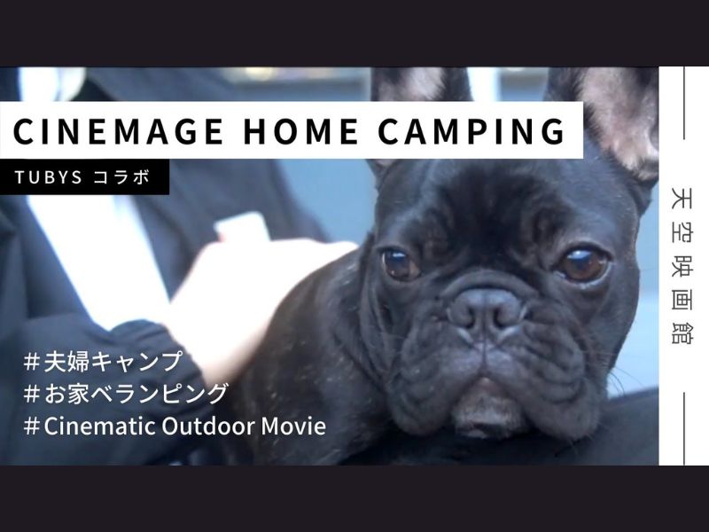 Amazon.co.jp: プロジェクター 小型 モバイルプロジェクター【CINEMAGE