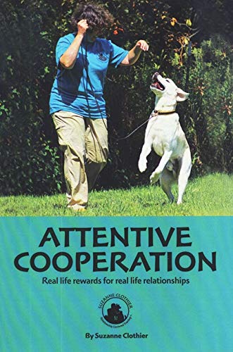 Attentive Cooperation. Real Life Rewards for Real Life Relationships