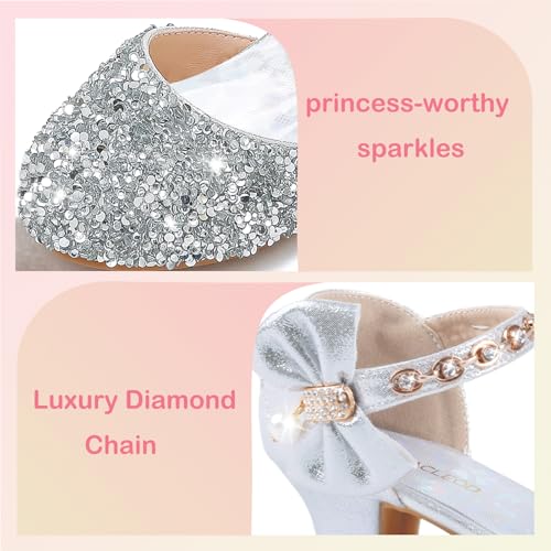 ZGDG Girls Dress Shoes Low Heel Princess Flats Mary Jane Flower Glitter Shoes Wedding Birthday Party Prom Sequins Sandals for Toddler Little Big Kids4