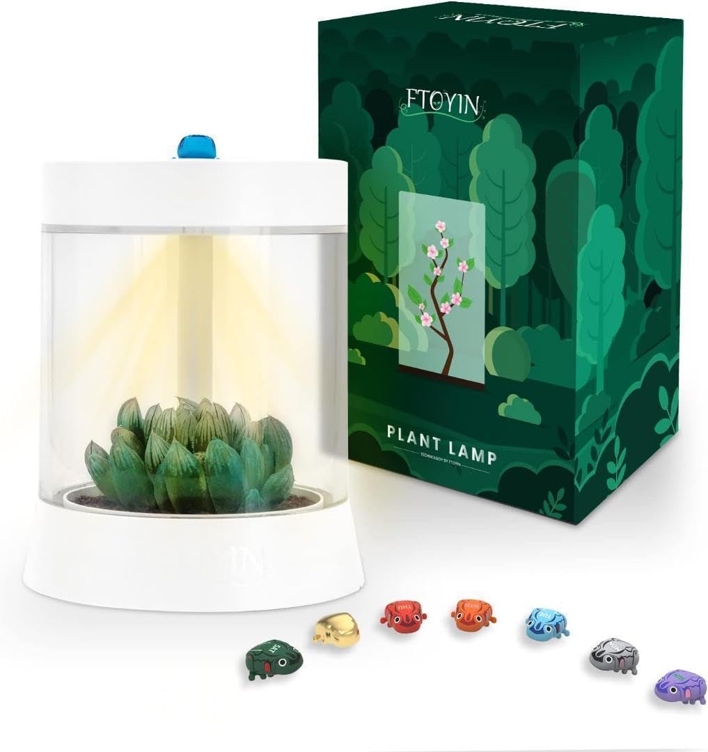 Amazon.co.jp: 植物ナイトライトグロウライト付き多肉植物の鉢 植物 