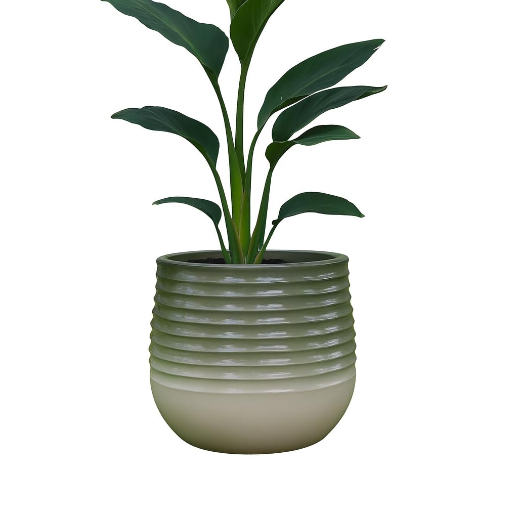 Gardening Naturally Danube Round or Square Ceramic Effect Planter for Indoor and Outdoor Use Lightweight Stone Look Plant Pot Frost Resistant UV Resistant in Multiple Sizes (Round, Large)