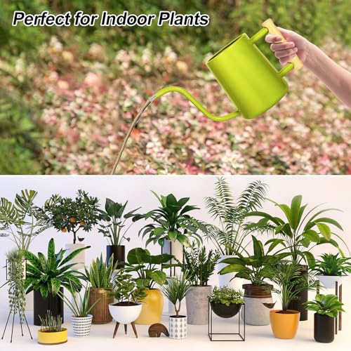 Image of Watering Can Indoor Plants, 35 oz /1000 ml Metal Stainless Steel Watering Can Pot with Long Spout for Indoor House Plants Bonsai Outdoor Garden Flower Decorative (Bright Green)