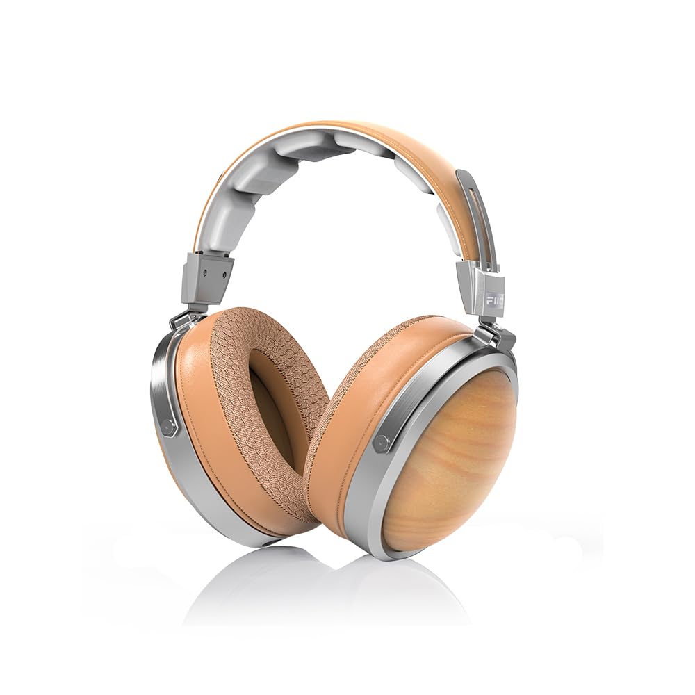 Amazon.co.jp: FIIO FT1 Beech FIO-FT1-C【日本正規販売店より発送