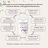 Micro Ingredients Multi Collagen Peptides Powder, 16oz | Full Spectrum Type I, II, III, V, X + Biotin, Hyaluronic Acid, & Vitamin C | Unflavored | Keto & Paleo Friendly | Non-GMO #2