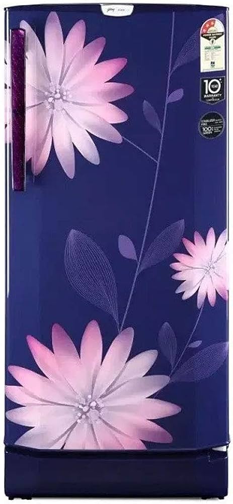 Godrej 190 L 2 Star Direct Cool Single Door Refrigerator (RD EDGE