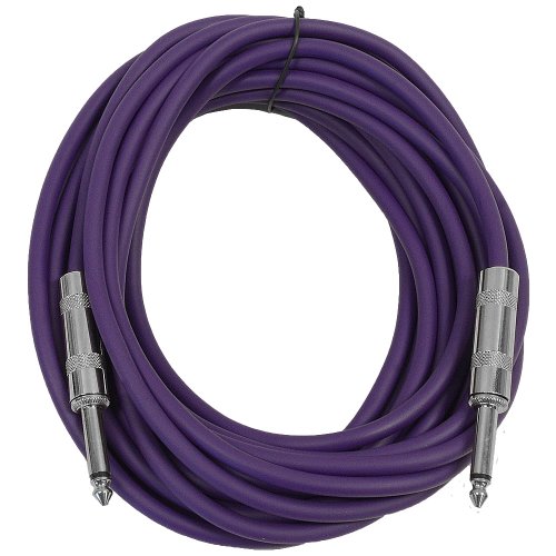 Seismic Audio - SASTSX-25 - 25 Foot TS 1/4