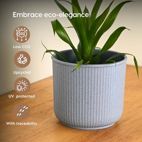 Image of Eha Earth Friendly Statement Pot 4 Inch Pots and Planters with Growmix |Set of 2| Table Top Planters for Gifting | Bamboo Based | Planter for Indoor & Balcony Window Flower Pots |Azure