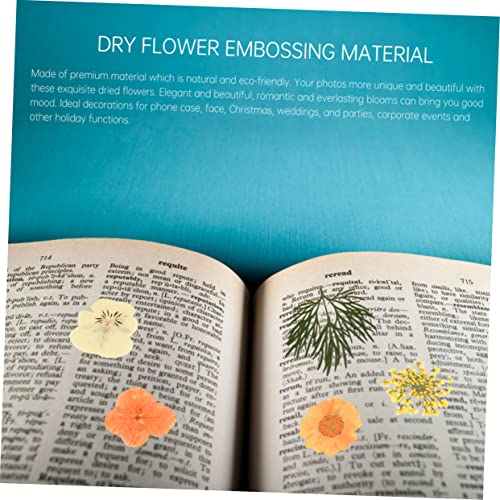 Material de Flores Secas ARTIBETTER 40 Piezas para Manualidades miniatura 4