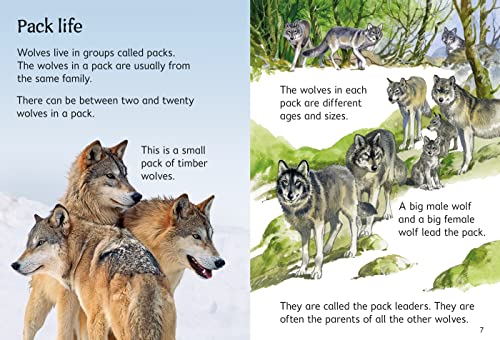 Wolves (Usborne Beginners) (Beginners Series) - Image 2