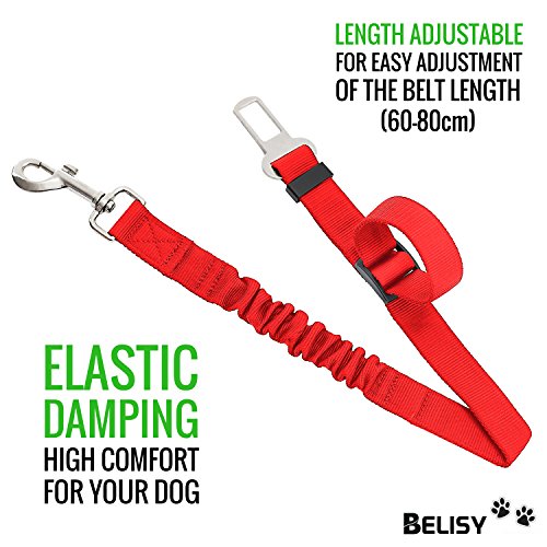 BELISY Hunde Sicherheitsgurt fürs Auto I passend für alle Hunderassen I Rot