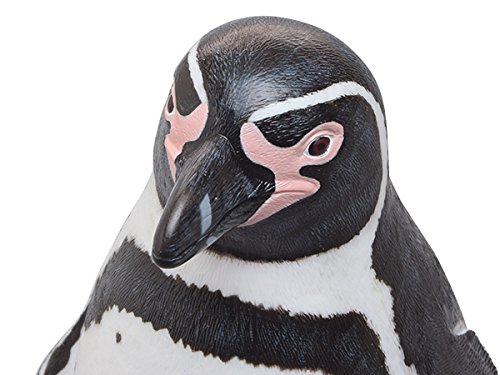 Amazon.co.jp: フンボルトペンギン ビニールモデル(FM-311) : おもちゃ