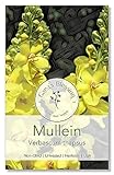 Gaea's Blessing Seeds - Mullein Seeds - Non-GMO Herb Seeds with Easy to Follow Instructions, Heirloom, Open-Pollinated, Untreated
