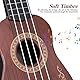 BESPORTBLE Ukulele-Spielzeug aus Kunststoff für Kinder – Miniatur-Musikinstrument für Kinder Pädagogische Spielzeuggitarre (Dunkelbraun)
