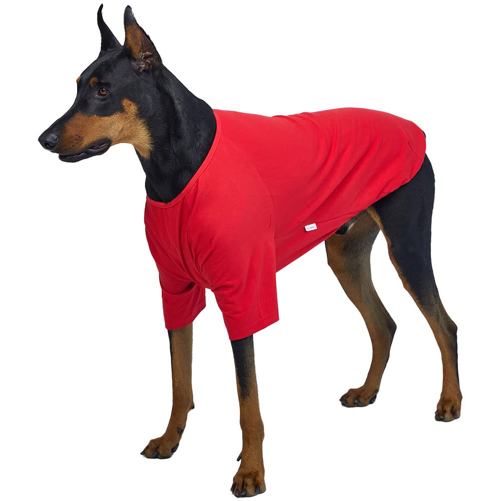 Camisa para perros pequeños, camisetas lisas, suave, transpirable, de algodón para perros, ropa para mascotas (5XL, rojo)