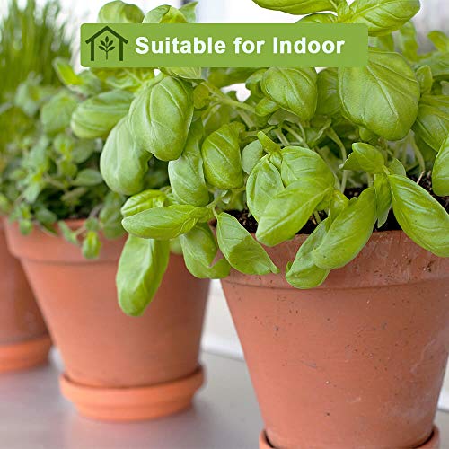 6 Inch Clay Plant Pots with Saucers, 4 Pack - Image 3
