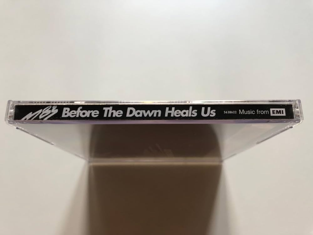 M83/before the dawn heals us アナログレコード2LP M83/before the dawn heals us アナログレコード2LP M83