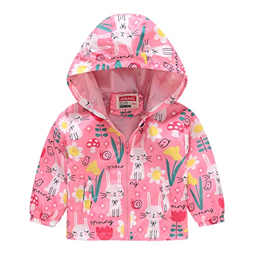 Toddler Boys Girls Cartoon Print Zip Jacket Hooded Trench Lightweight Kids Coats Windbreaker Casual Outerwear (Pink, 2-3 Years)