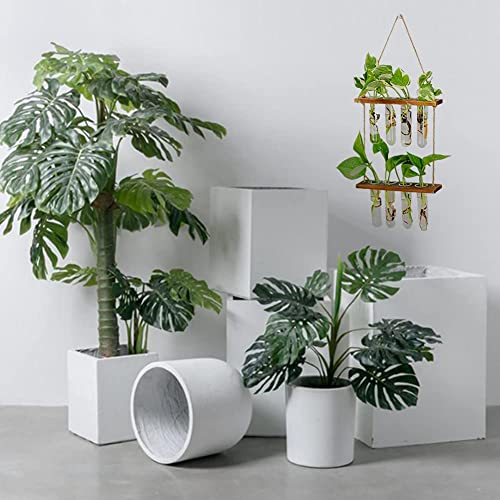 Wall Hanging Planter, 2 Tiered Plant Propagation Stations Plant Terrarium With Wooden Stand, Glass Planter Test Tube Vase For Propagating Hydroponic Plants Home Office Garden Decor-8 Bulb Vase #TOP6
