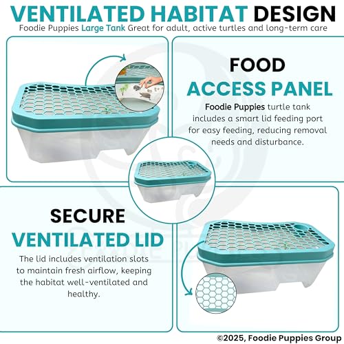 Image of Foodie Puppies Turtle Tank Aquarium - (Large, Honeycomb Tank) (59x36x24cm) with Lid and Ramp | Basking Platform, Swimming Area, breeding, Hibernation Area for Turtle (Color May Vary) (No Accessories)