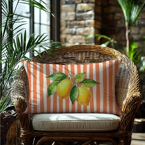 Image of Terracotta and Yellow Summer Italian Mediterranean Amalfi Coast Lemon Pillow Cover Decor 12x20,Italian Striped Decorative Throw Pillow Cover Decor for Couch Double-Sided