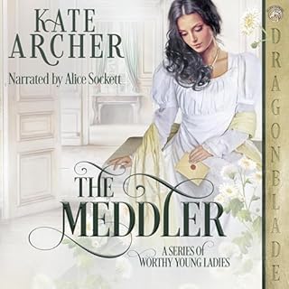 The Meddler Audiolibro Por Kate Archer arte de portada