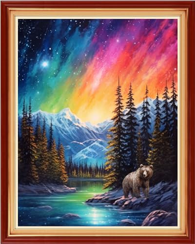 Image of Dimxvean Stamped Cross Stitch Kits,Cross Stitch Kits for Adults Beginners,Embroidery Kits Full Range of Cross Stitch Stamped Kits Needlepoint Kits Cross Stitch Patterns- Aurora Borealis 16x20 inchs