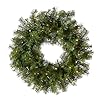 National tree company pre lit artificial christmas wreath green norwood fir white lights christmas collection 24 inches  urban country home decor