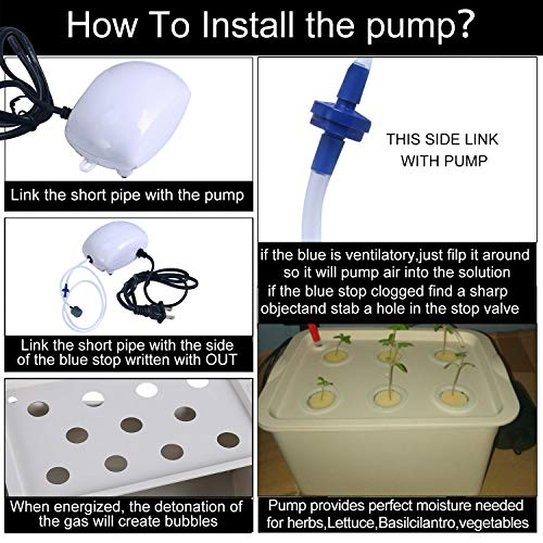 Homend Indoor Hydroponic Grow Kit with Bubble Stone, 11 Sites (Holes