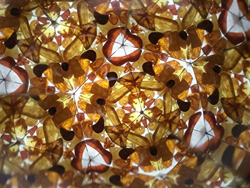 Bernstein Kaleidoskop, Holzspielzeug, original Design aus Haselbaum, natürliche Materialien, Spielzeug, Geschenk