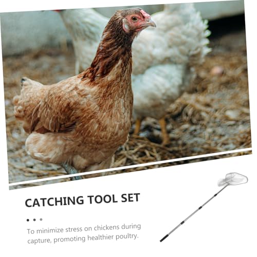 Filet pour poulets et chats pour sécuriser les animaux de la ferme - 6