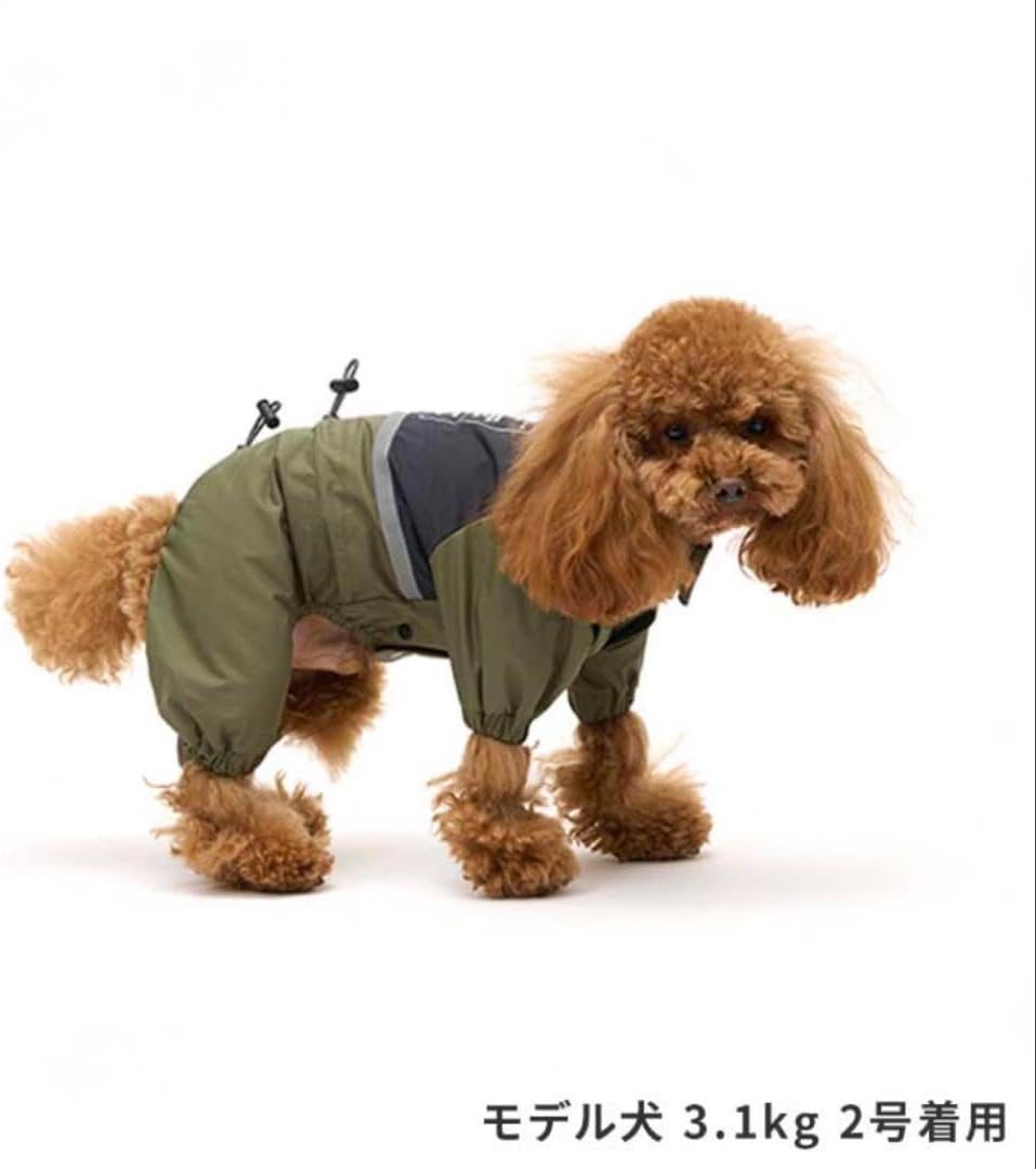 いちごとクマの陶器皿3点セット 新品未使用 ヤマグチアサコ 山口麻子