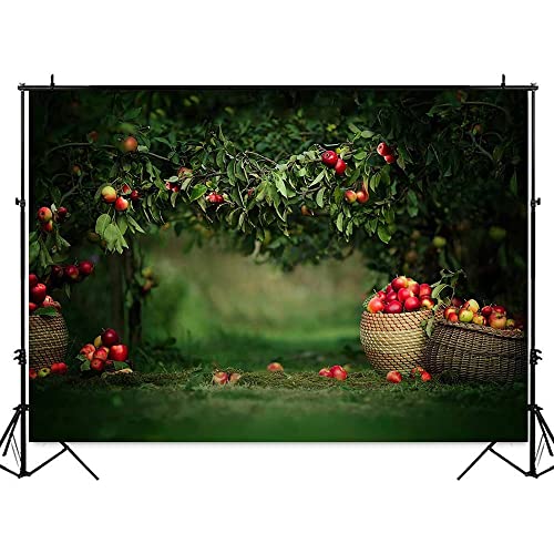 Toile de fond de studio photo verger arbres verts en vinyle mat anti-reflet 200x200cm