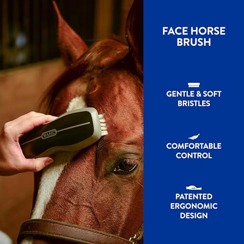 WAHL Professional Animal Equine Grooming Face Horse Brush - Black - Image 4