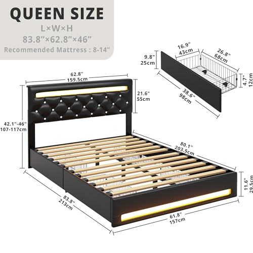 Queen Bed Frame with LED Lights and Storage Drawers