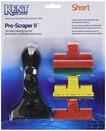 Kent Marine pro-Scraper, Short