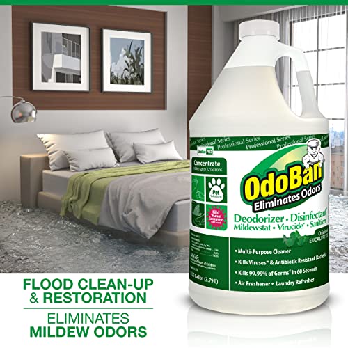 Odoban Professional Disinfectant And Odor Eliminator Concentrate, 2-Pack, 1 Gallon Each Original Eucalyptus And Lavender Scents #TOP3