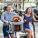Hundekorb Fahrrad Vorne Faltbar & Erweiterbar, 4-in-1 Hundefahrradkorb mit 4 Öffnungen, Netzfenstern & Regenschutz, Fahrradkorb für Kleine & Mittelgroße Katzen und Hunde bis 10kg (Grau)