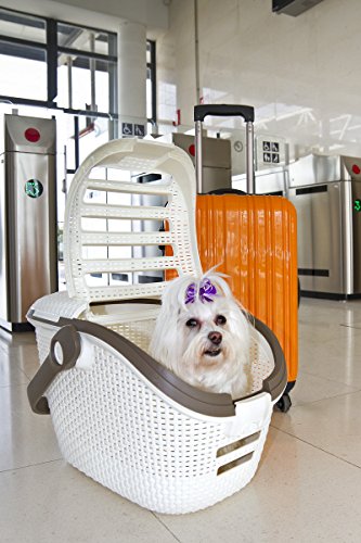 Curver Pet Transportbox L: 51 cm B: 38 cm H: 33 cm weiss