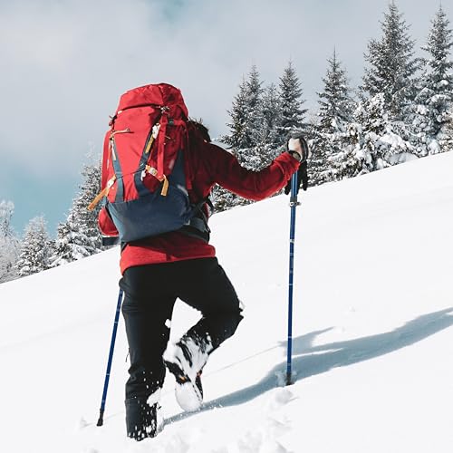 TREKOLOGY Trekking Poles – Lightweight, Adjustable Hiking Sticks for Men & Women – Durable Aluminum, Compact & Foldable with Comfortable Grip – Perfect for Hiking, Walking & Seniors, TREKZ XE (Blue) - Image 6