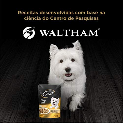 Kit Ração Úmida Cesar Sachê Cortes Selecionados Sabor Frango Marinado Para Cães Adultos 20x85g