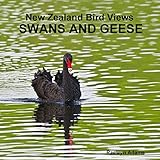New Zealand bird views : swans and geese