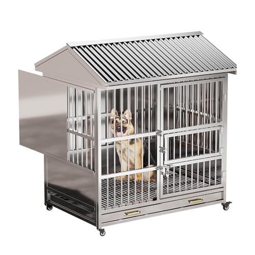  Op ^ ^ XeX hbOnEX pP[W t ^hbOP[Wbi[/O\?ʖhlX lGΉbogC |ȒPbLX^[tb⋭pCv hJ Ăh~ 蹑Ή 202XeX| 200*