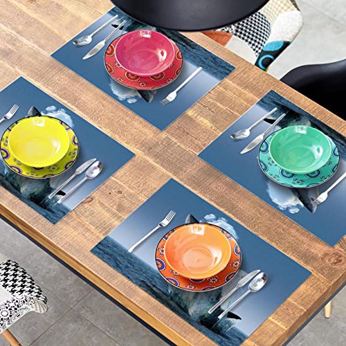 Set de table requin mer résistant à la chaleur lot 6 antidérapant - 8